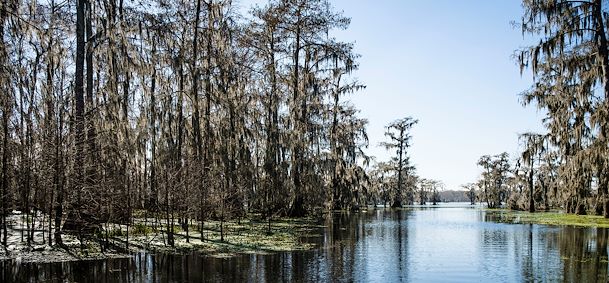 Pays Cajun