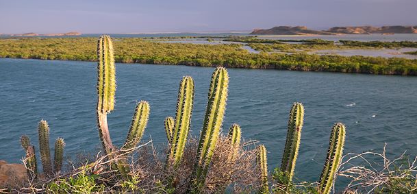 Colombie : Voyage Bahia Hondita | Séjours et Circuits sur mesure