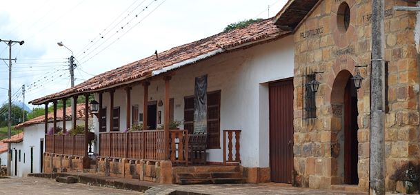 Guane