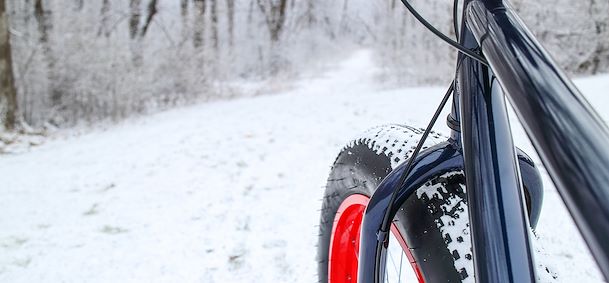 Fat bike