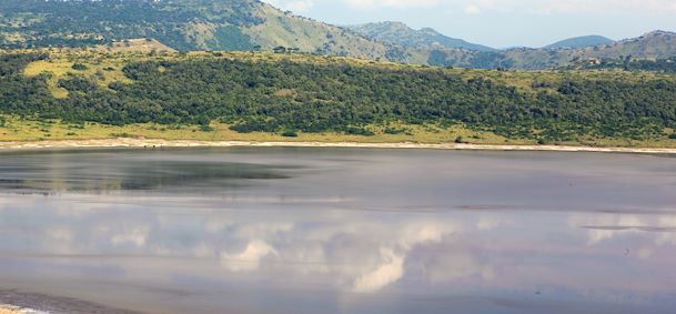 Lake Albert