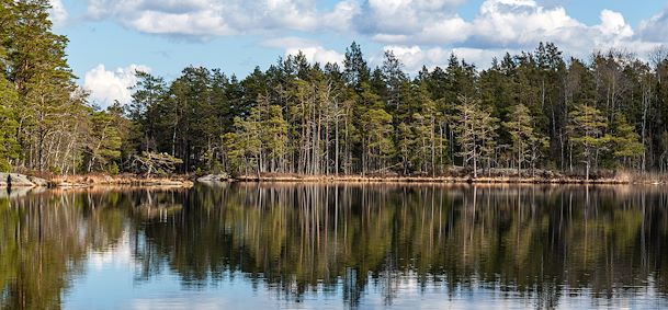 Parc National de Tyresta