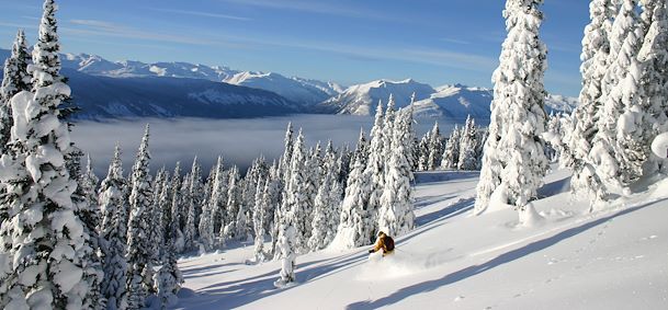 Ski alpin