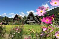 Alpes et traditions japonaises