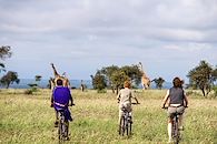 Safaris de tout poil