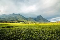 Mont et merveilles du Malawi