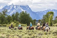 Immersion Yellowstone