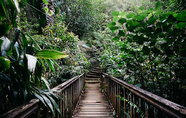 Jardin exotique - La Réunion