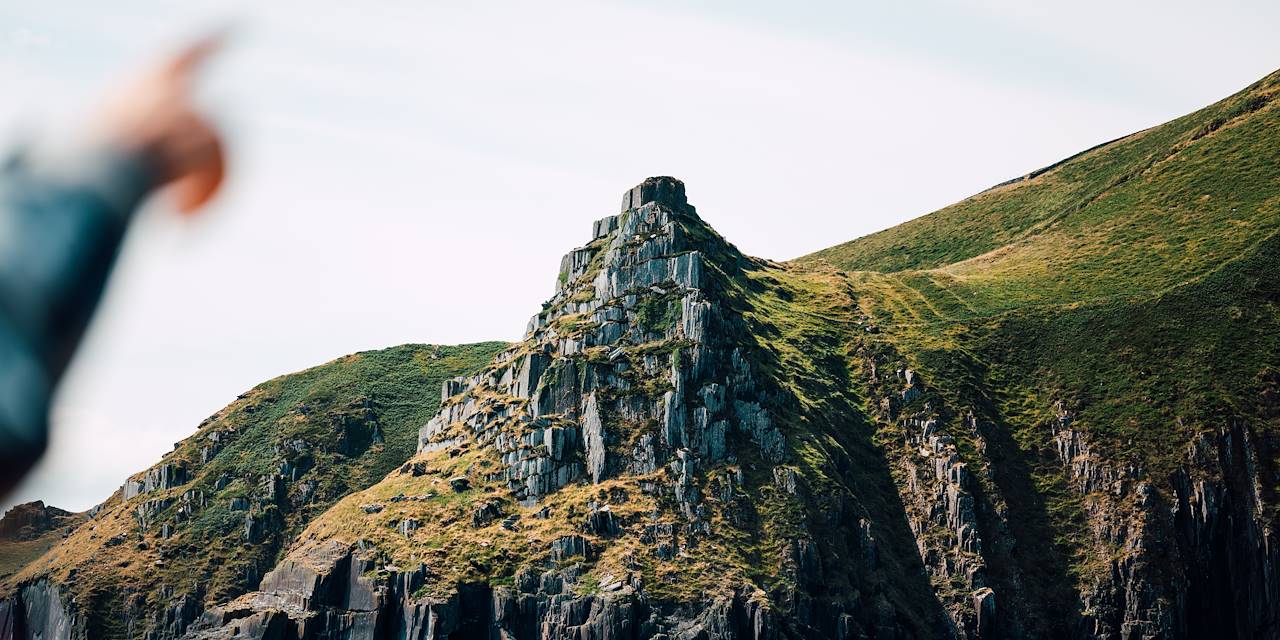 Safari dans la baie de Dingle - Comté du Kerry - Irlande