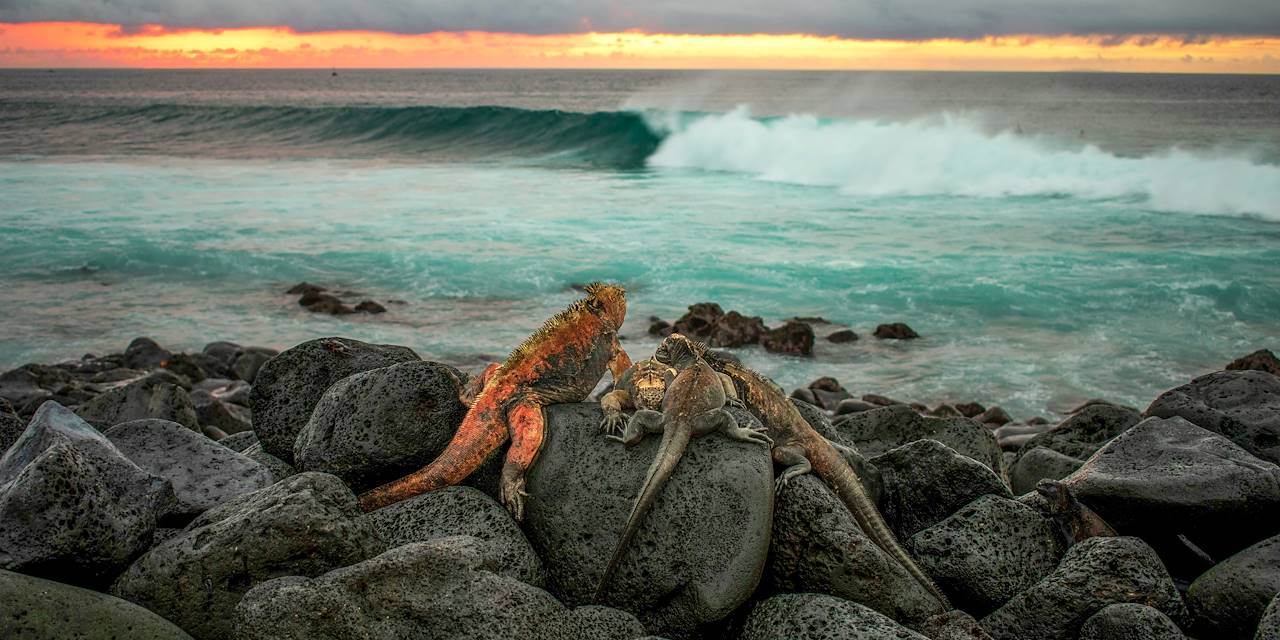 Îles Galapagos - Equateur