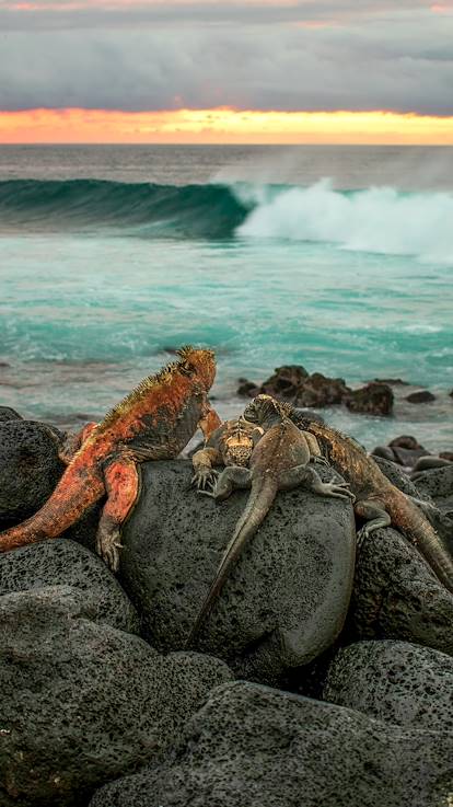 Îles Galapagos - Equateur