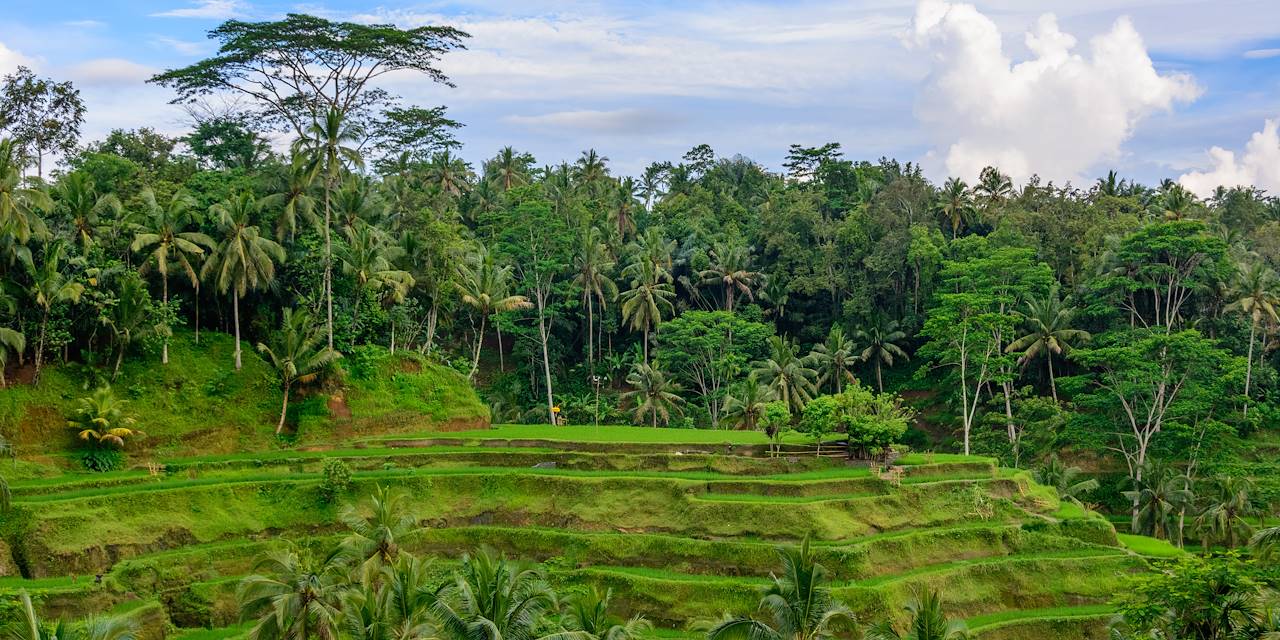 Ubud - Bali - Indonésie 