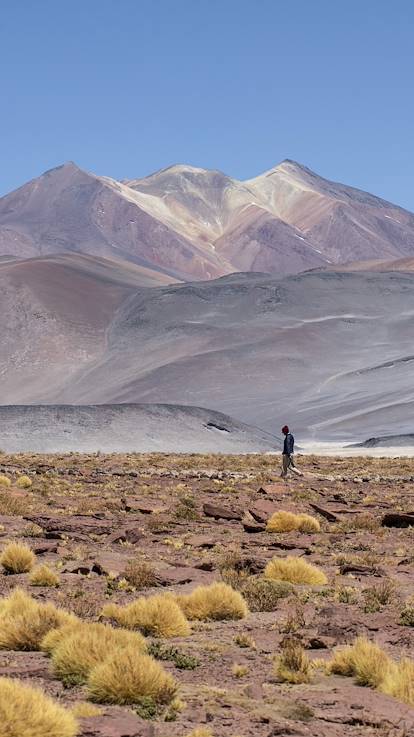 Salar de Talar, le désert de sel - Désert d'Atacama - Antofagasta - Chili