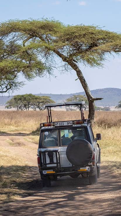Safari dans le Parc National du Serengeti - Tanzanie