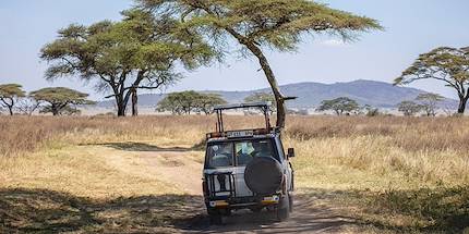 Safari dans le Parc National du Serengeti - Tanzanie