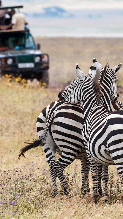 Safari au Kenya