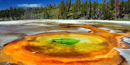  Printemps chromatique dans le parc national de Yellowstone - Etat du Wyoming - Etats-Unis