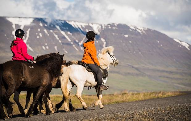 Balade équestre à proximité du cottage Hestasport - Varmahlid - Nord-Ouest - Islande