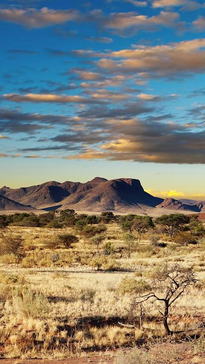 Désert du Kalahari - Namibie
