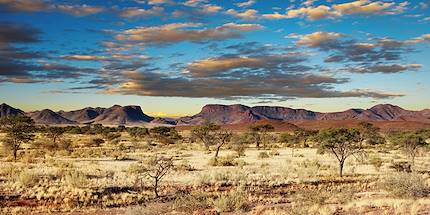 Désert du Kalahari - Namibie