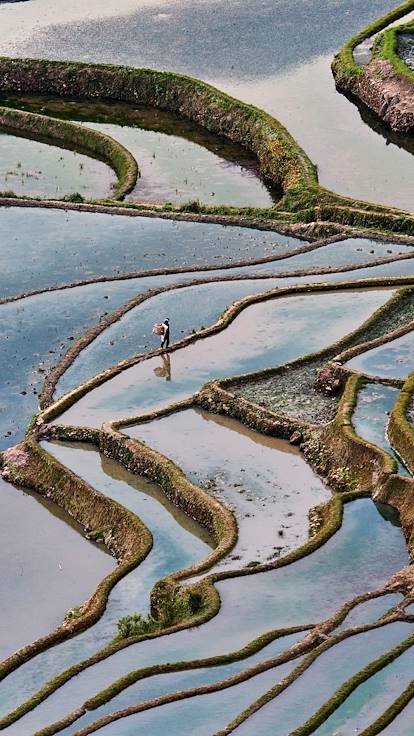 Rizières en terrasse de Yuanyang dans la provinde du Yunnan - Chine