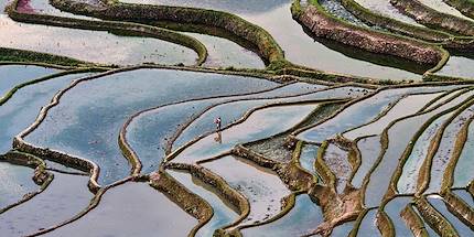 Rizières en terrasse de Yuanyang dans la provinde du Yunnan - Chine