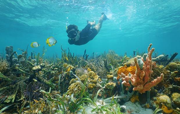 Snorkeling à Rodrigues - Ile Maurice