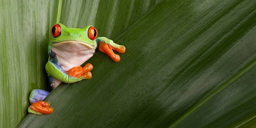 Costa Rica