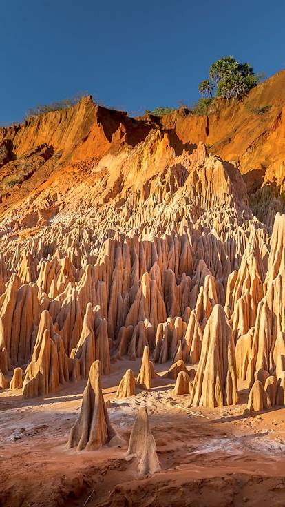 Les Tsingy Rouges - Antsiranana - Madagascar