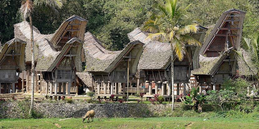 Maisons traditionnelles du pays Trojara - Célèbes - Indonésie