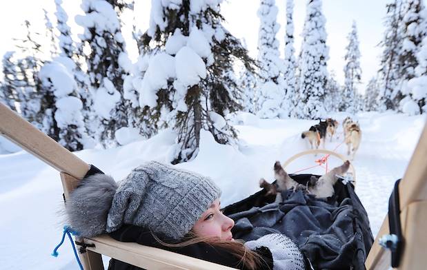 Chiens de traîneau à travers la forêt enneigée - Finlande