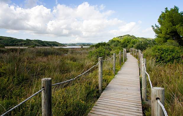 Parc naturel de S’albufera des Grau - Minorque - Les Baléares