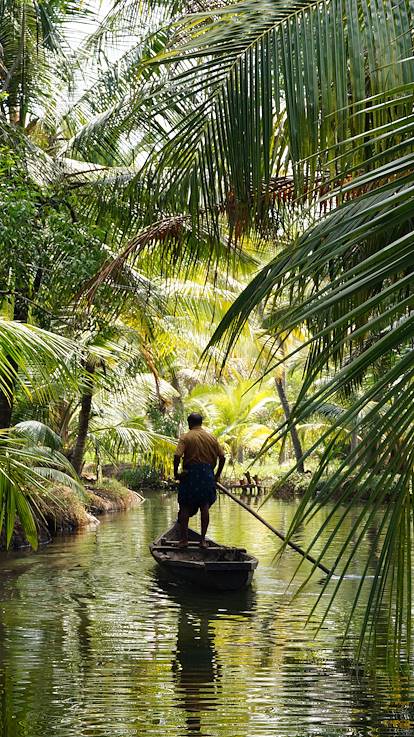 Backwaters - Kerala - Inde