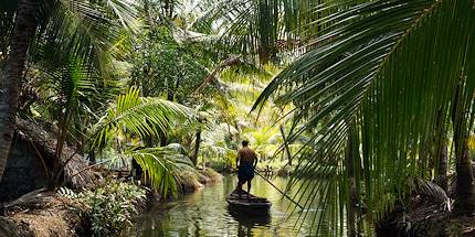 Backwaters - Kerala - Inde