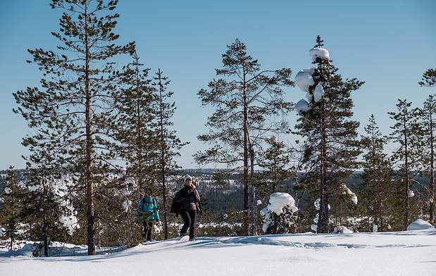 Balade en raquettes dans la forêt -  Norvège