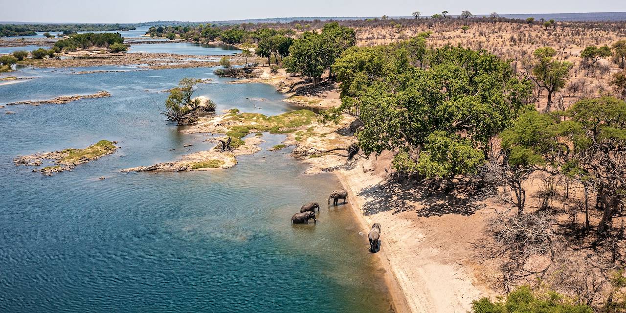 Eléphants se baignant dans le fleuve Zambèze - Zimbabwe