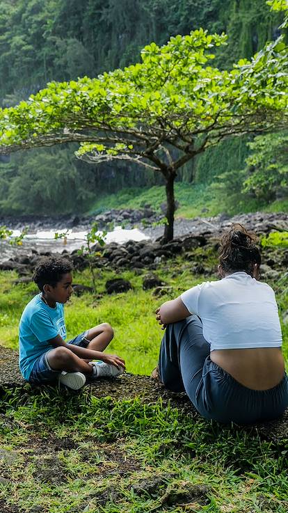 Paysage côtier sur la Route des Laves - La Réunion