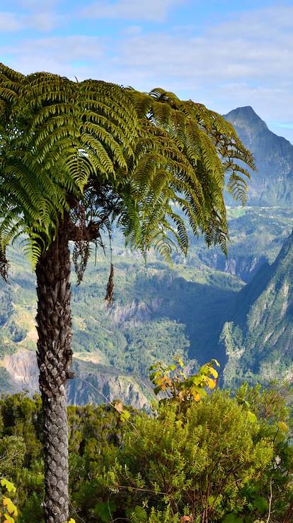 Cirque de Salazie - Parc national de La Réunion - La Réunion