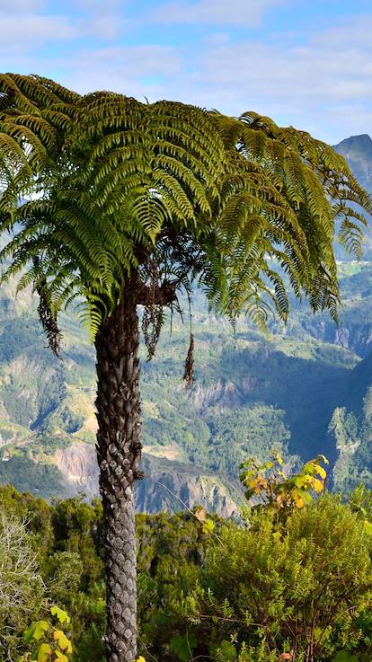 Cirque de Salazie - Parc national de La Réunion - La Réunion