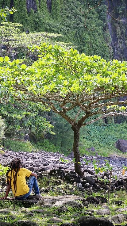 Anse des Cascades - Ste Rose - La Réunion