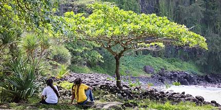 Anse des Cascades - Ste Rose - La Réunion