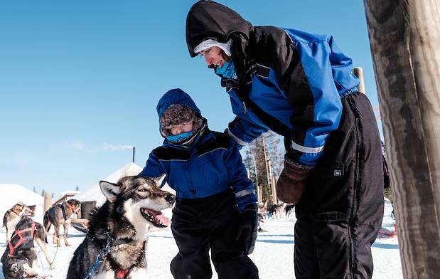 Safari en traîneau à chiens Husky à travers la forêt - Rovaniemi - Laponie - Finlande