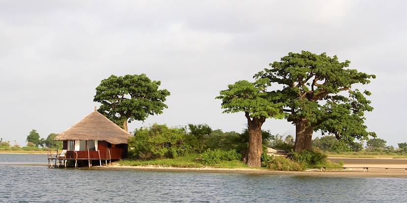 Écolodge dans la réserve de Palmarin - Delta du Siné-Saloum - Sénégal