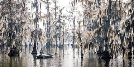 Tour du lac Martin - Louisiane - Etats Unis
