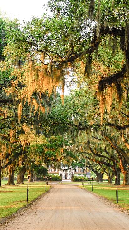 Boone Hall Plantation - Mount Pleasant - Caroline du Sud - Etats-Unis