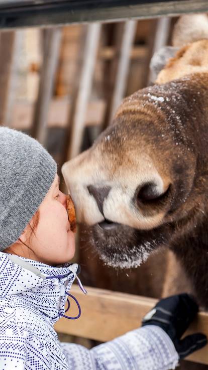 Enfant embrassant un orignal en Finlande