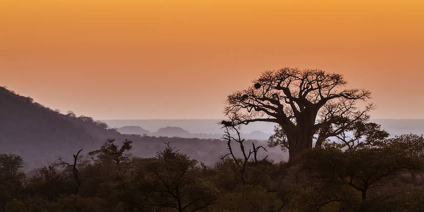 Parc national Kruger - Afrique du Sud