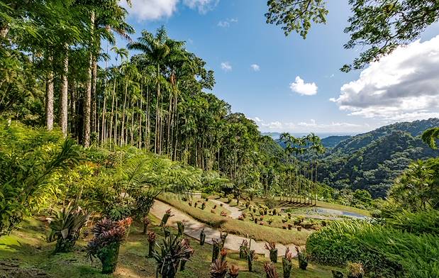 Jardin de Balata - Fort de France - Martinique
