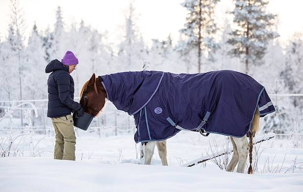 Matinée au ranch - Pyhä - Finlande