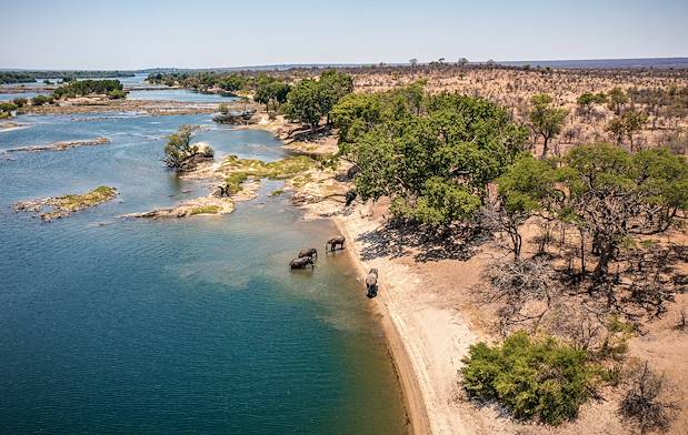 Eléphants se baignant dans la rivière Olifants - Mpumalanga - Afrique du Sud